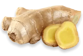 Ginger Root Extract